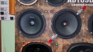 Панчёвый громкий широкополосник DL Audio Raven 200 v2