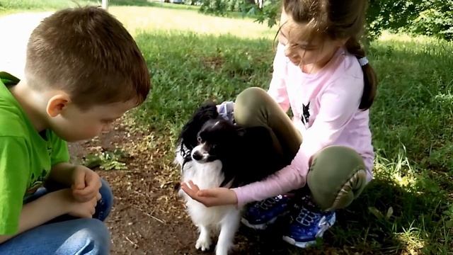 МОЙ ДРУЖОК смотреть онлайн