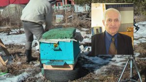 Профессор Кашковский про весеннюю выставку пчёл