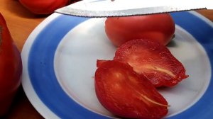 Обзор и дегустация томатов: экзоты и проверенные сорта!