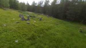 Ледмозеро