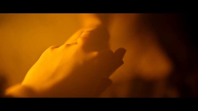 Les Mimosas - Marc Delmas (Clip Officiel) смотреть онлайн