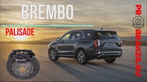 Тормоза BREMBO для задней оси PALISADЕ