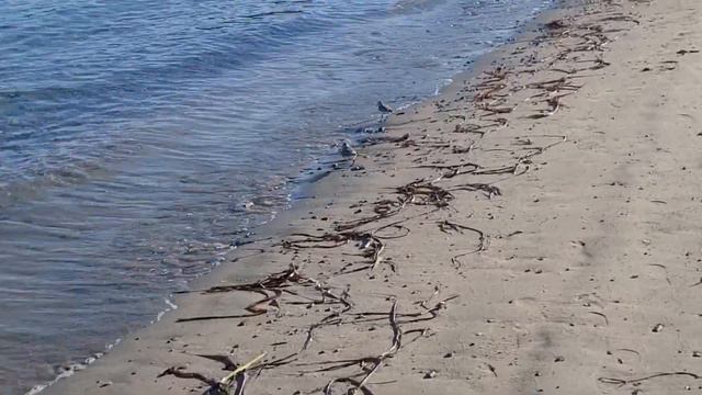 #ПРИМОРЬЕ# ОТДЫХ  НА МОРЕ_Часть 2
