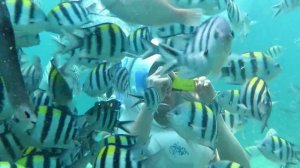 Seawalker Tour, Sanur   Bali   fun experience & things to do in Bali 9