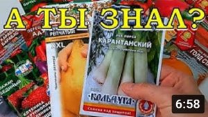Какие ОВОЩИ сеем в ФЕВРАЛЕ на рассаду??????