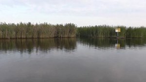 Река Кама, Красный бор,