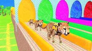 Paint Animals cow lion dinosaur Mammoth Elephant bear checken leopard hippo dog cat - Paint Color