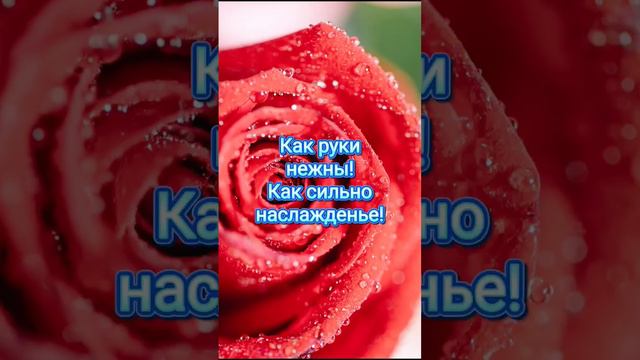 ЛЮБИМЫЙ МОЙ❤️ #любимый #любовь #счастье смотреть онлайн