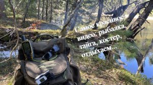 Отдыхаем в лесу