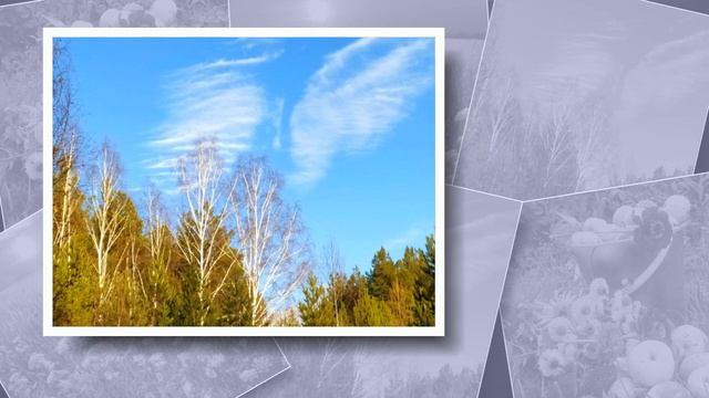 Стихотворение К.Бальмонта "Сонет" смотреть онлайн