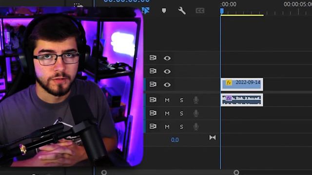 PRO Premiere Pro Mic Filters & Settings! (Remove Pops / Static) 2022