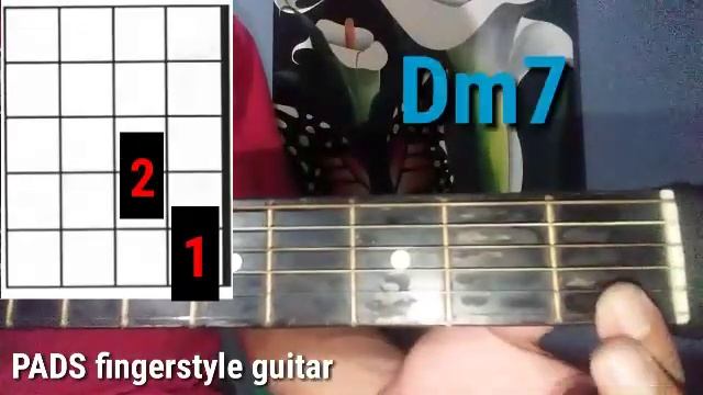 Am7 Bm7 Cm7 Dm7 Em7 Fm7 Gm7 | guitar chords tutorial |how to play Minor guitar chord