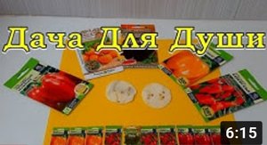 СЛАДКИЙ ПЕРЕЦ, который я буду сеять в 2021 году???
