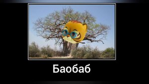 Супер мяу + ШИЗА =