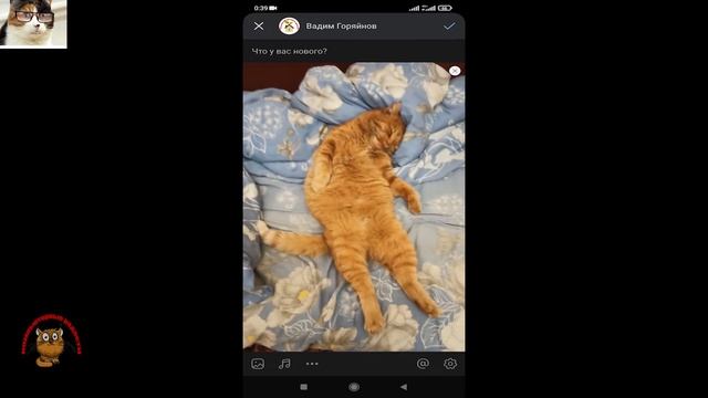 Как добавить фото в вк через телефон. Как загрузить фото в Вконтакте