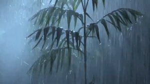 10 Часов Дождя с грозой. Быстрый сон