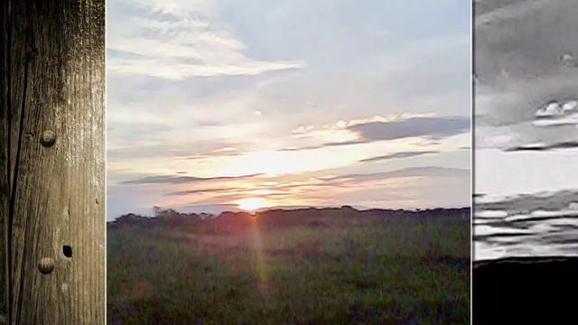 МНОГО ПОЛЫНИ смотреть онлайн