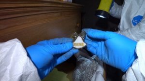 Купил заброшенный дом в Америке за 5000$ ( Серия 2 )