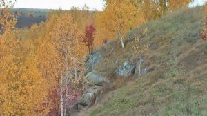 ОСЕНЬ  ЖИЗНИ