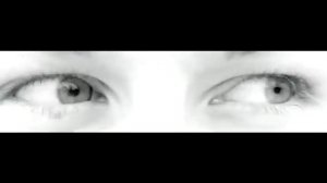 the chemodan- Всем снятся сны