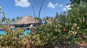 Costa Caribe Beach 4* ,обзор отеля ,Венесуэла