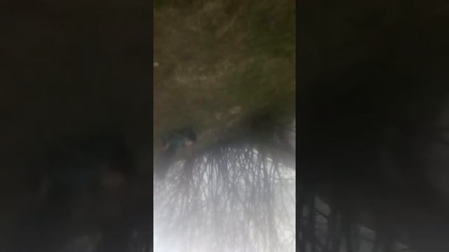 Поймал кошку часть3 смотреть онлайн