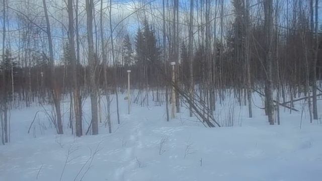 лосиный солончак и как правильнее их устанавливать
