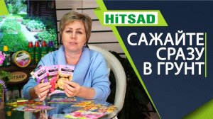 ТОП ЦВЕТОВ КОТОРЫЕ САЖАЮТ СРАЗУ В ГРУНТ