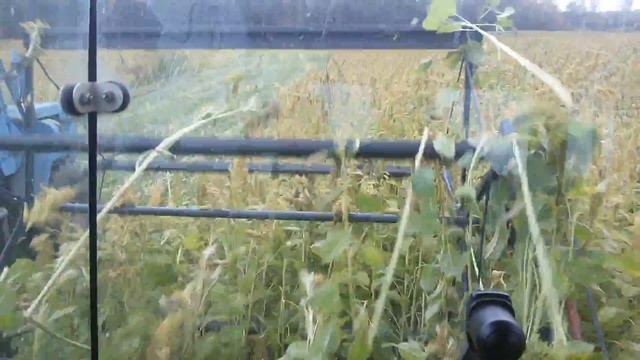 Силосный комбайн Maral E282. Косим аморант смотреть онлайн