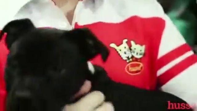 Отзыв UDS  Магазин корма животным HUSSE.По рекомендации за год   в кассу пришло  3 325 000 руб.