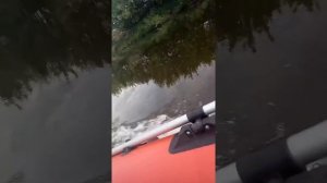 Лодочный мотор Стрела 5 Зиф