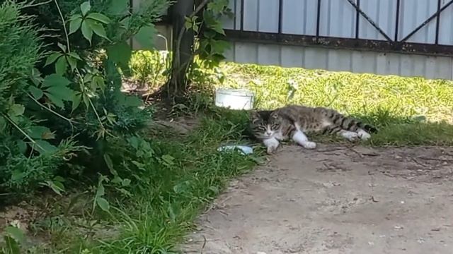 Бурим скважину на даче.