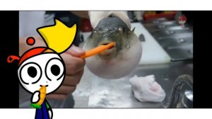 Сенсей Рыба Фугу учит нас есть морковь: