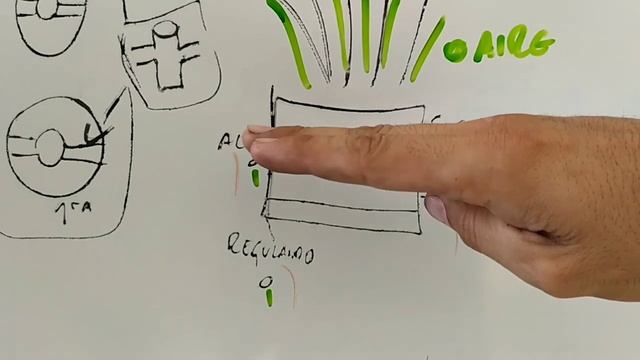 Mi Auto Falla ? No regula y Se Rebalsa el Carburador ✔ LA SOLUCION смотреть онлайн