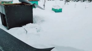 Зимовка пчел на ВЫСОКОЙ РАМКЕ.