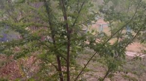 Пожар в Степногорске 4 мкр #степногорск #пожар #казахстан #бестобе #астана #мчс