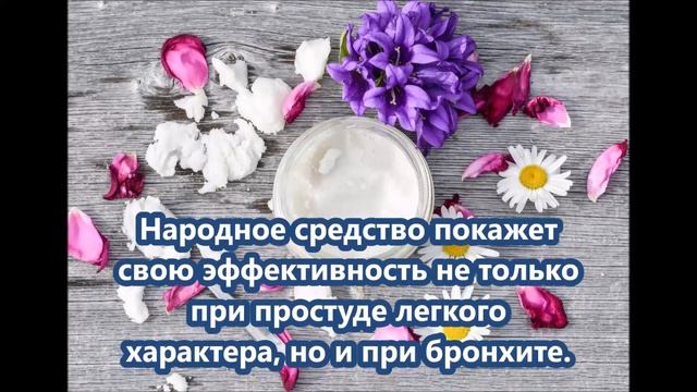 Медвежий жир - лечебные свойства и противопоказания смотреть онлайн
