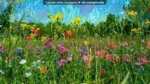 дорога цветов - Каникулы строгого режима.