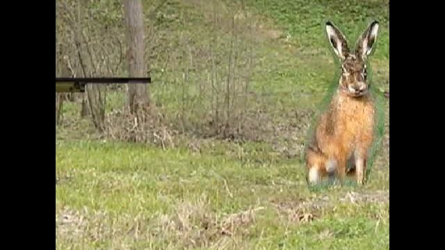 hunting охота смотреть онлайн