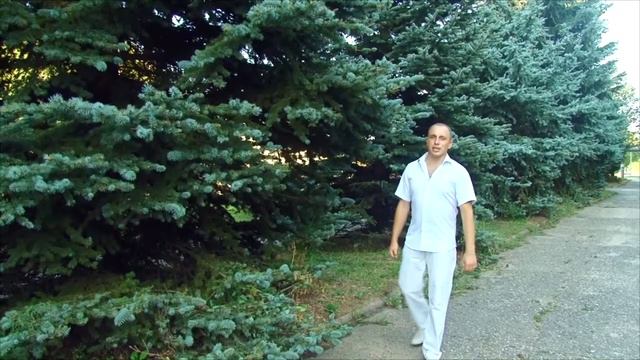 Знакомьтесь - мой Козьмодемьянск, Республика Марий Эл смотреть онлайн