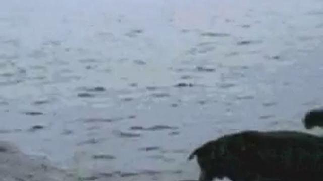 Прикол! Не рой другому яму. Мужик навернулся в воду смотреть онлайн