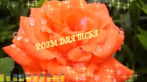 Игорь Янакий - Розы для Тебя...