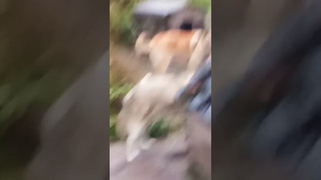 8 октября 2023 г. смотреть онлайн