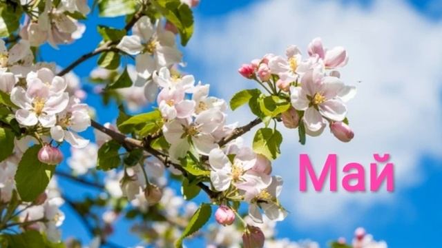 СИНИЧКИН КАЛЕНДАРЬ - Май