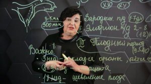 Эмбриональное развитие. 9 класс.