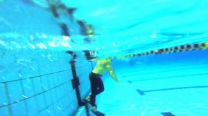 14/20 Плавание в ластах дельфином. Дельфинирование. Finswimming. Butterfly.