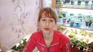 Грунт для фиалок! Верховой торф Агробалт.Теперь все просто.