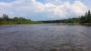 Ловля хариуса. Трудовая рыбалка на реках Средняя и Верхняя Терсь.