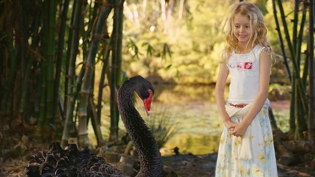 Спасенный девочкой утенок посчитал ее своей матерью, а когда вырос, превратился в... .. смотреть онлайн